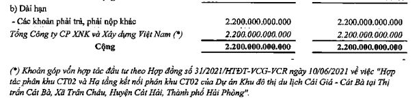 Cơ cấu phải thu dài hạn tính tới 31/12/2022 (Nguồn: BCTC).