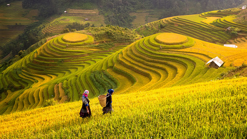 Trên đường văn hóa, vươn tới hùng cường