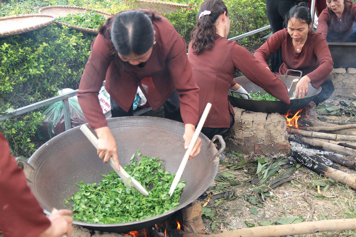 Công đoạn sao chè ở Thái Nguyên