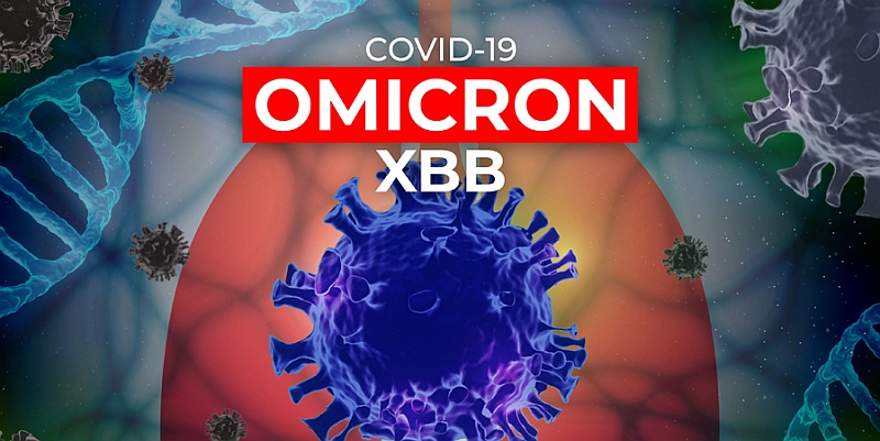 TP. HCM đã xuất hiện biến chủng phụ XBB của Omicron