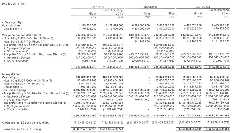 Cơ cấu nợ vay của IPA tới 31/12/2022 (Nguồn: BCTC).