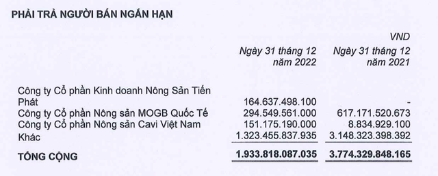 Phải trả người bán ngắn hạn giảm mạnh trong năm 2022 (Nguồn: BAF)