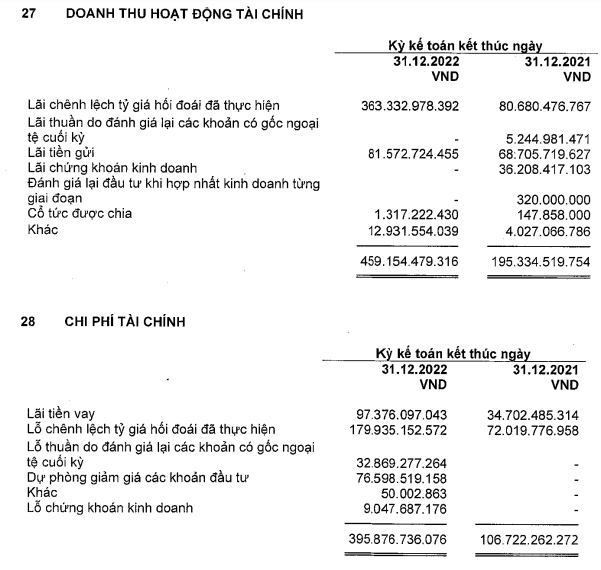 Chi phí tài chính năm 2022 tăng mạnh (Nguồn: BCTC).