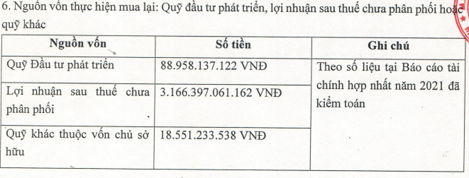 Tài liệu báo cáo chưa đáp ứng yêu cầu dù dư nguồn mua cổ phiếu quỹ