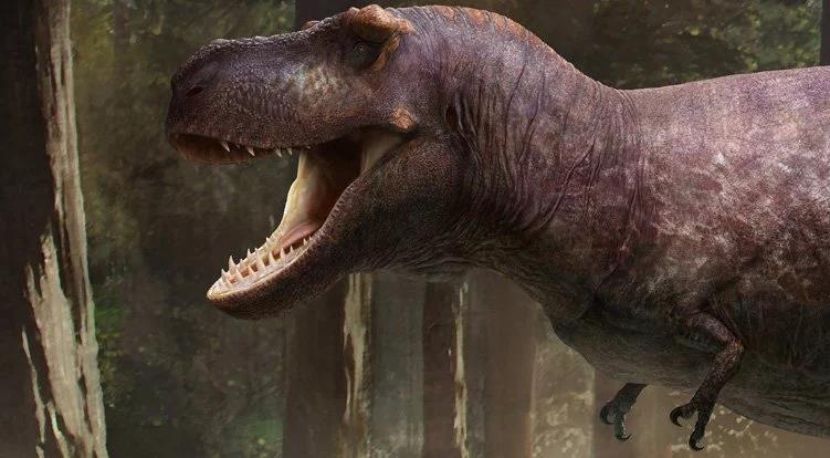 Lý do rùng rợn khiến “tay” của bạo chúa T-rex hầu như biến mất