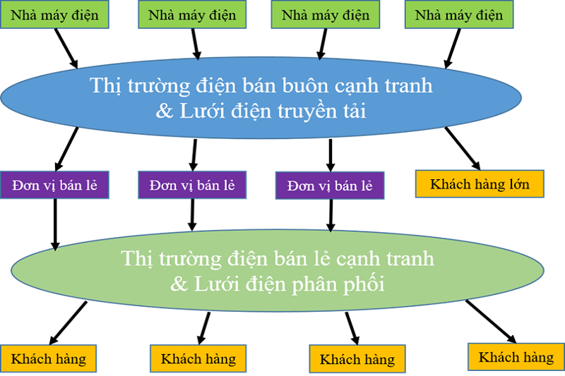 Mô hình cấu trúc TTĐ bán lẻ cạnh tranh