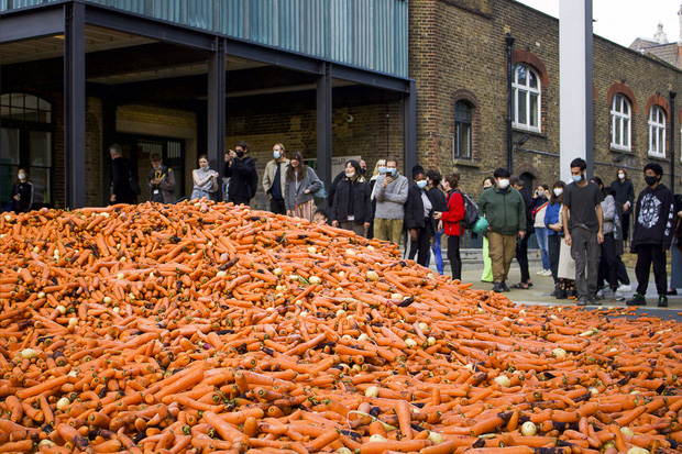 Đang yên đang lành đổ 28 tấn cà rốt ra đường, thanh niên khiến đám đông há hốc, khi biết hàm ý sâu xa vẫn không thể hiểu nổi - Ảnh 3.