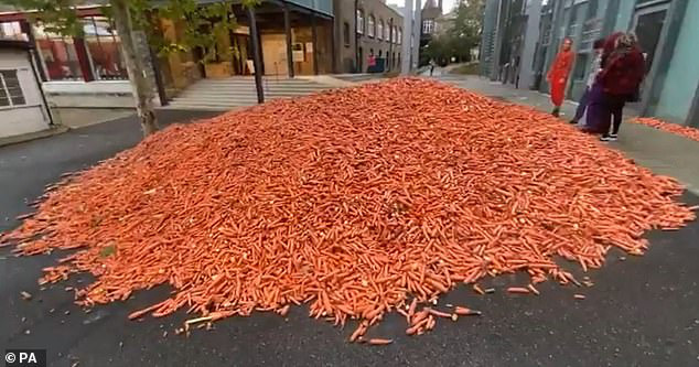 Đang yên đang lành đổ 28 tấn cà rốt ra đường, thanh niên khiến đám đông há hốc, khi biết hàm ý sâu xa vẫn không thể hiểu nổi - Ảnh 5.