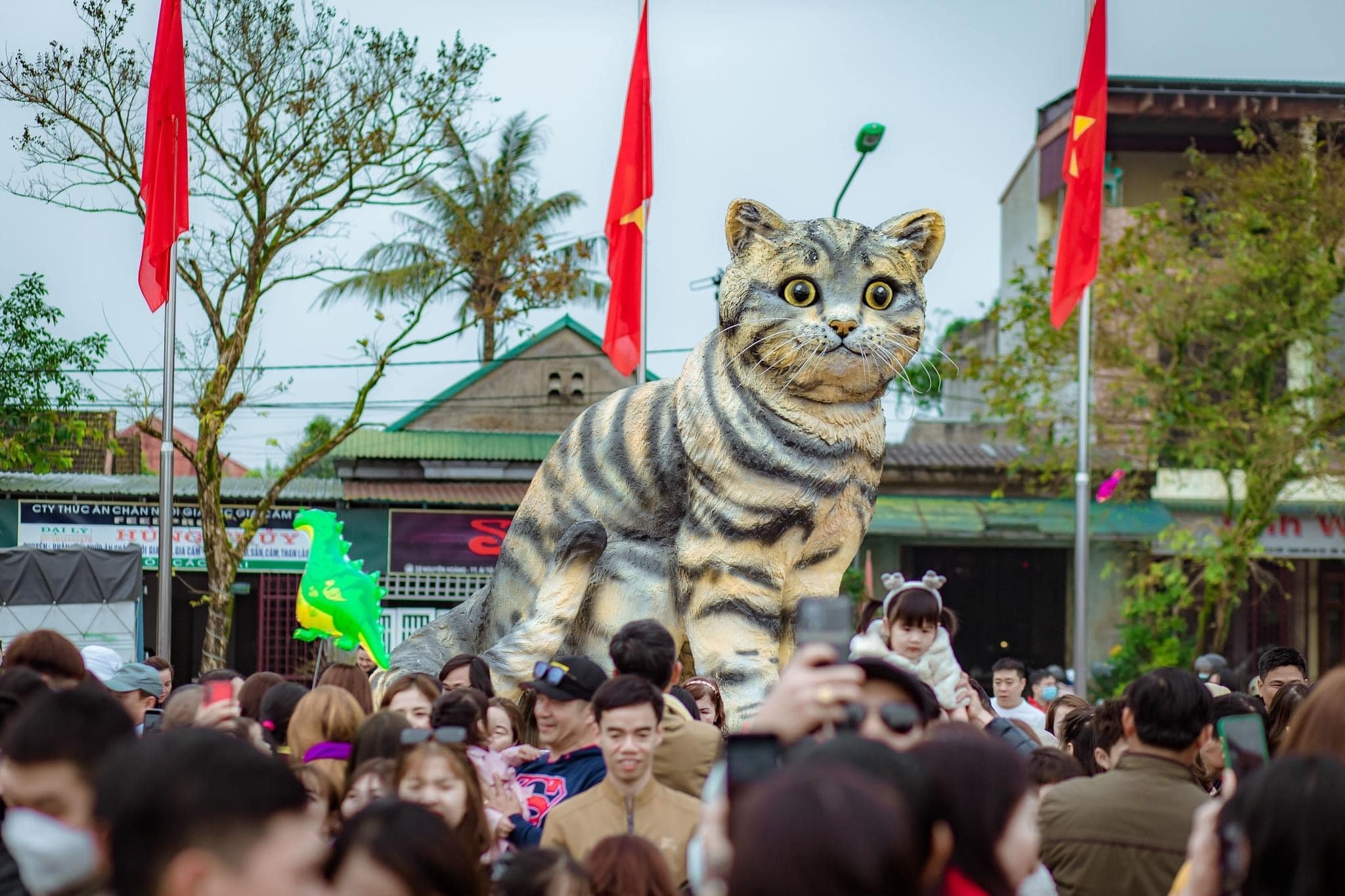 Khen thưởng nghệ nhân tạo ra 'hoa hậu mèo' ở Quảng Trị được nhiều người yêu thích - ảnh 2