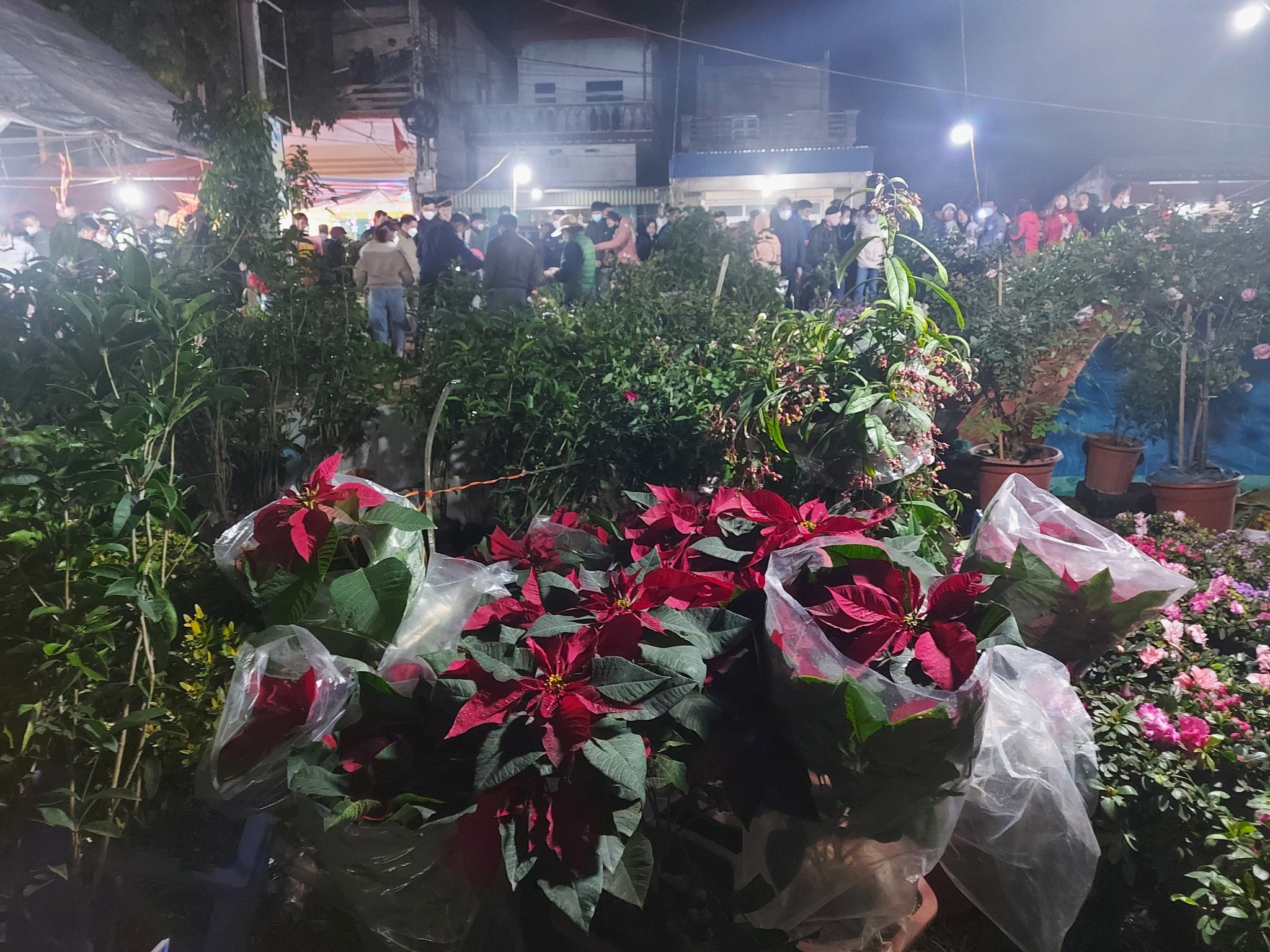 Kỳ lạ phiên chợ cầu may ở Nam Định, họp duy nhất một lần trong năm - ảnh 4