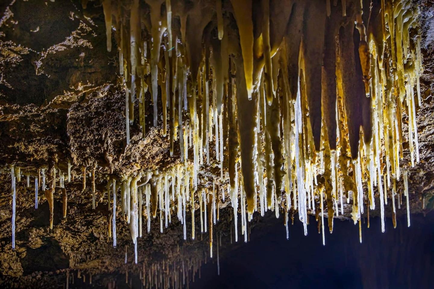 Mê mẩn vẻ đẹp siêu thực của hệ thống hang động mới ở Quảng Bình - ảnh 3