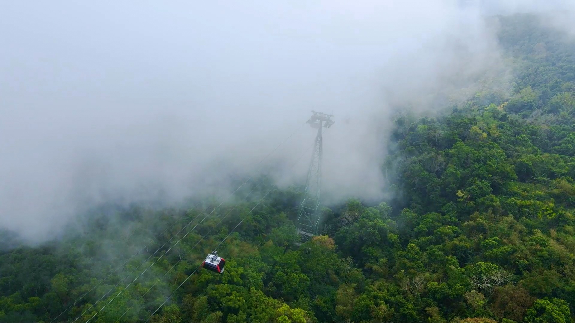 Cáp treo Núi Bà Tây Ninh có lãi tăng gần 20 lần nhờ du khách - ảnh 1