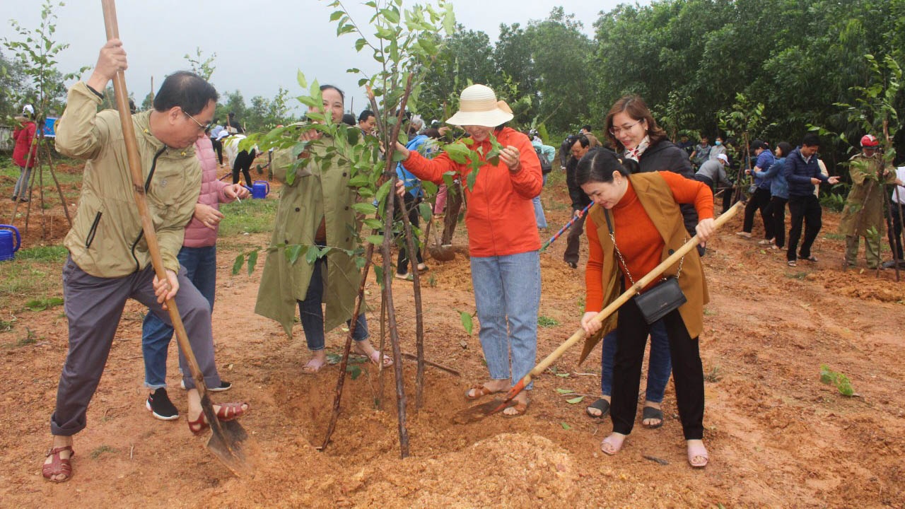 Quảng Ngãi: Nhiều địa phương đồng loạt tổ chức 'Tết trồng cây' - ảnh 1