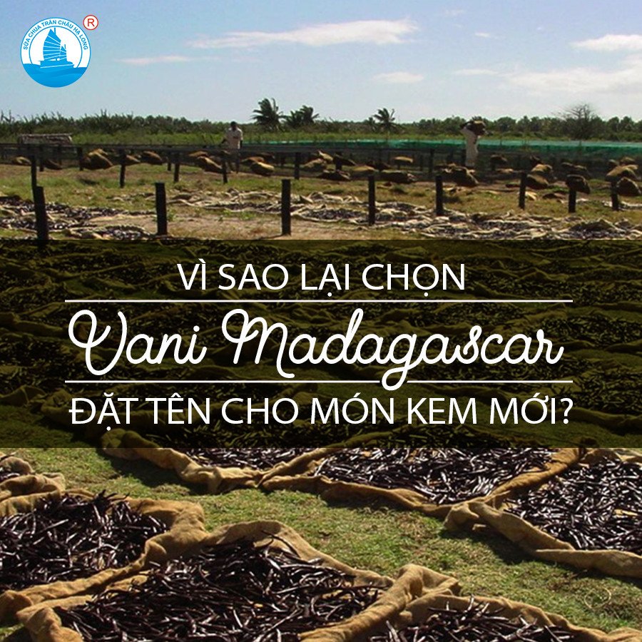 Sữa Chua Trân Châu Hạ Long ra mắt sản phẩm mới &amp;#8211; Kem Vani Madagascar vị ngon khác biệt