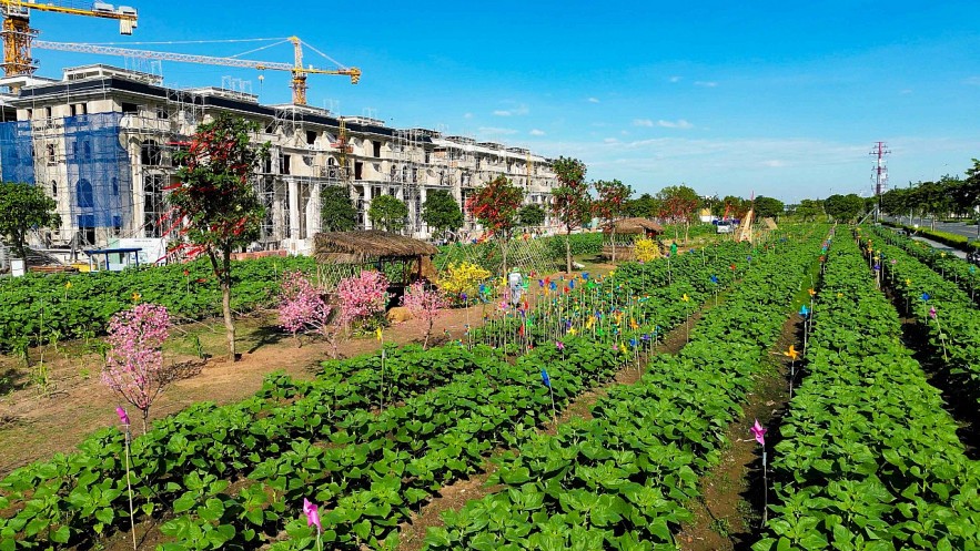 Chờ đón Vườn Hoa Hướng Dương đậm chất Nam Bộ tại Van Phuc City