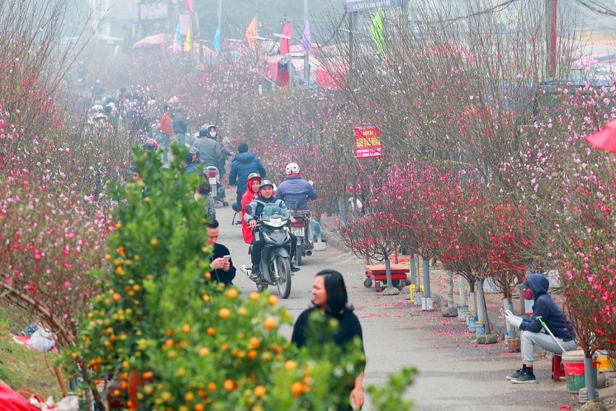 Hà Nội tổ chức 91 điểm chợ hoa xuân phục vụ Tết Nguyên đán Quý Mão 2023