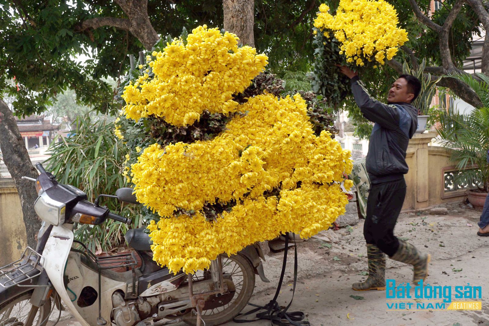 Giá hoa tươi Tây Tựu vào vụ Tết giảm thấp