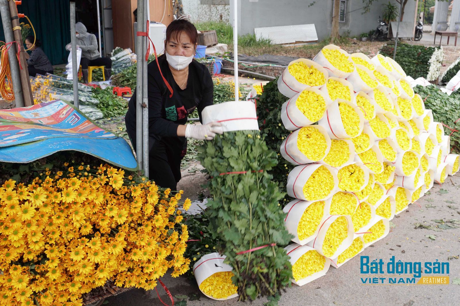 Giá hoa tươi Tây Tựu vào vụ Tết giảm thấp