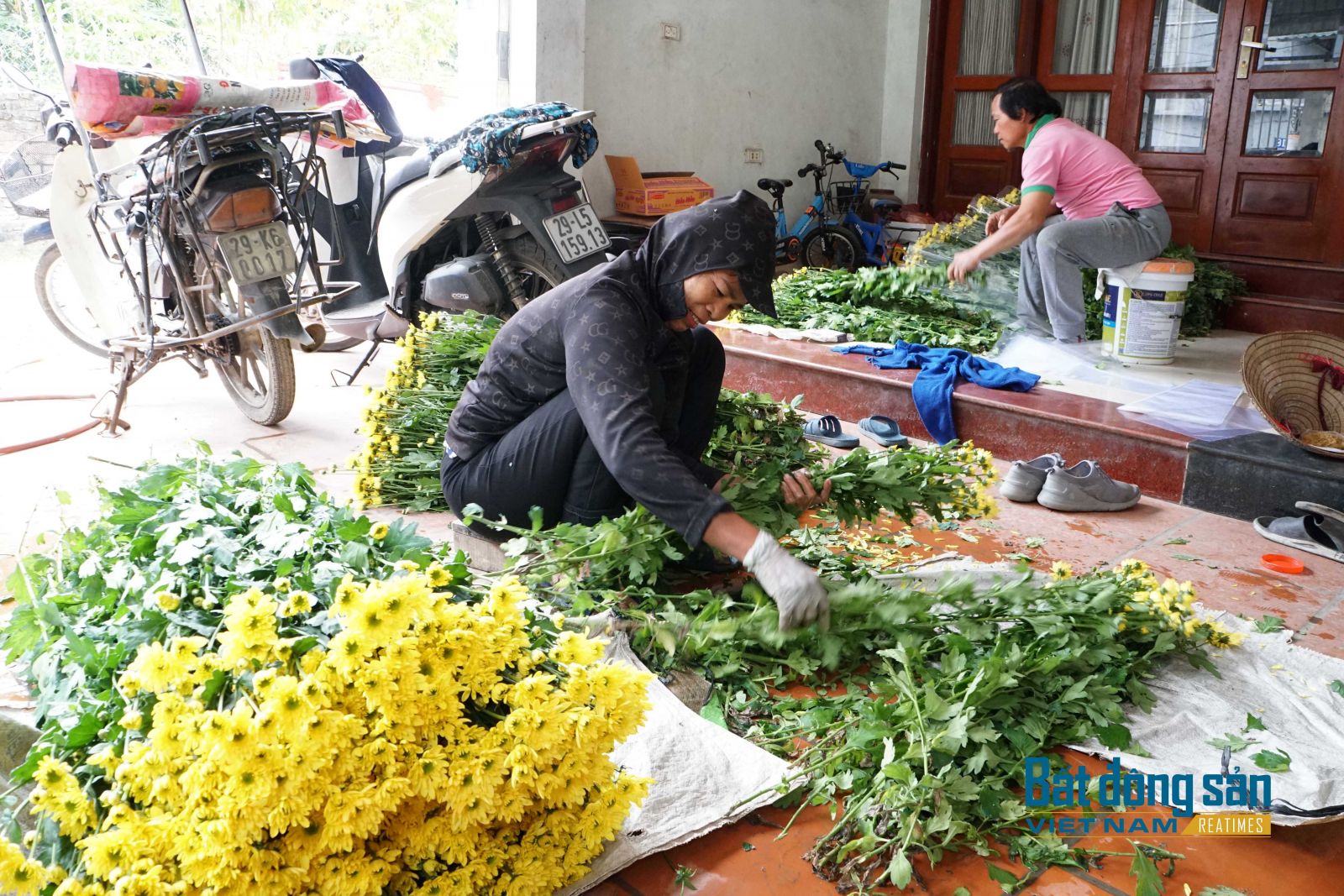 Giá hoa tươi Tây Tựu vào vụ Tết giảm thấp