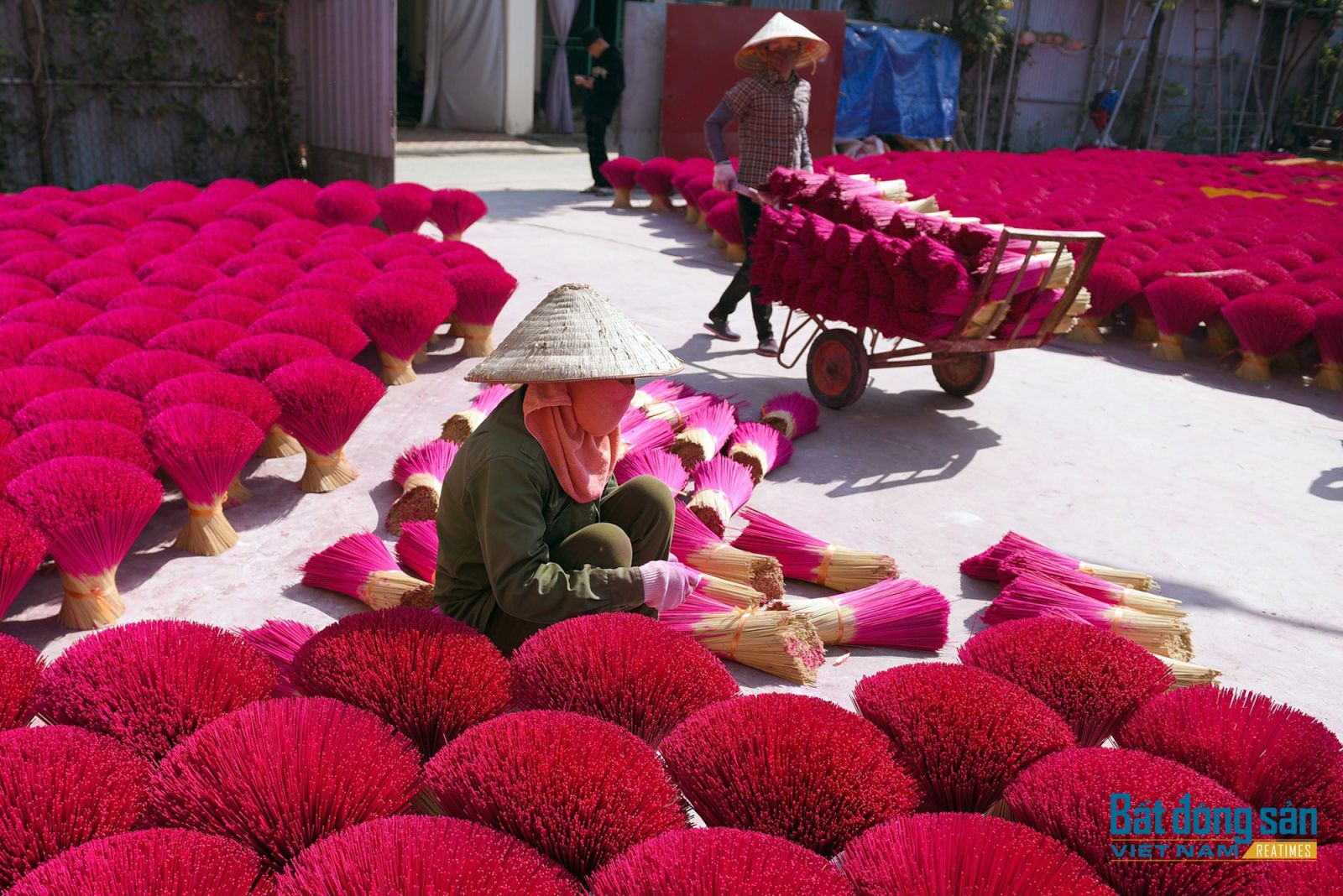 Làng hương Quảng Phú Cầu tất bật vào vụ Tết